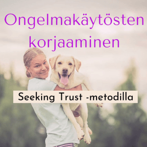Luento: Ongelmakäytösten korjaaminen Seeking Trust® -metodilla